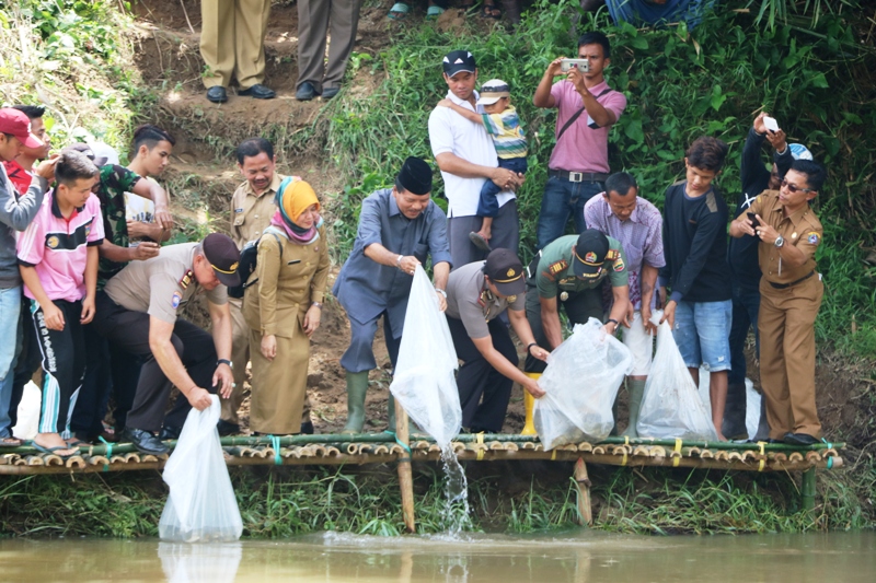 Bupati Limapuluh Kota Irfendi Arbi melepas bibit ikan pada lokasi lubuak likan larangan Pokmaswas Tarok kasiak.